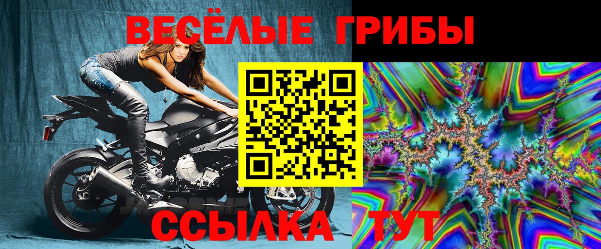 Галлюциногенные грибы прущие грибы  Псилоцибиновые грибы GOLDEN TEACHER  Вход с VPN  Магнитогорск 